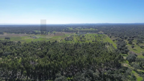 Terreno para Venda em São Domingos e Vale de Água