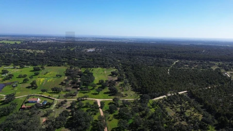 Terreno para Venda em São Domingos e Vale de Água
