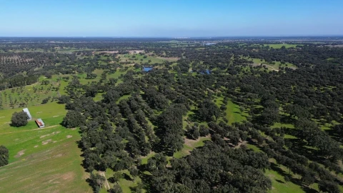 Terreno para Venda em São Domingos e Vale de Água