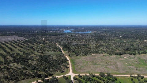 Terreno para Venda em São Domingos e Vale de Água