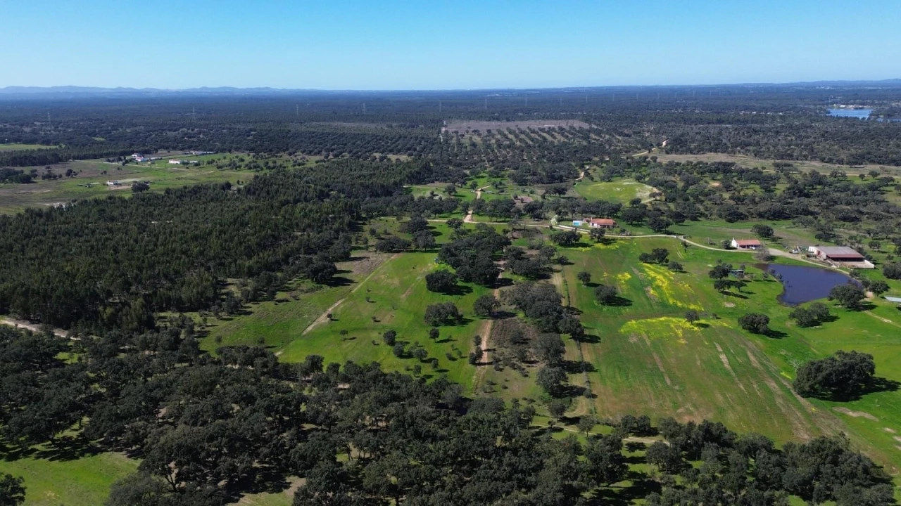 Terreno para Venda em São Domingos e Vale de Água Foto 5