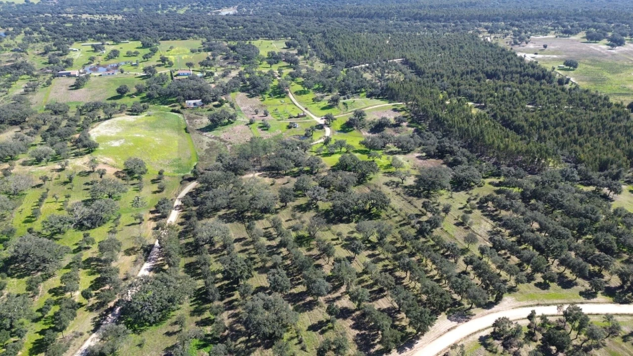 Terreno para Venda em São Domingos e Vale de Água Foto 12