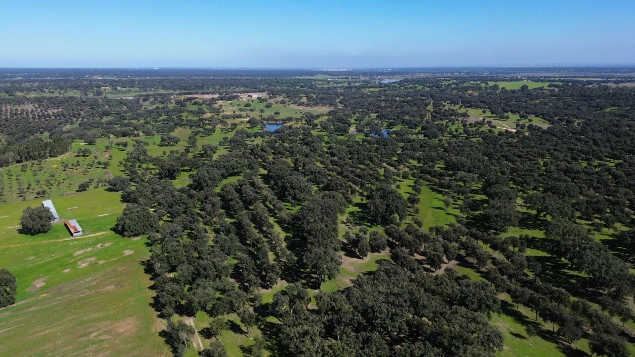 Terreno para Venda em São Domingos e Vale de Água Foto 9