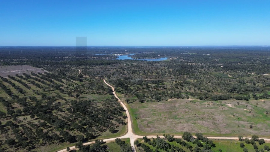 Terreno para Venda em São Domingos e Vale de Água Foto 7