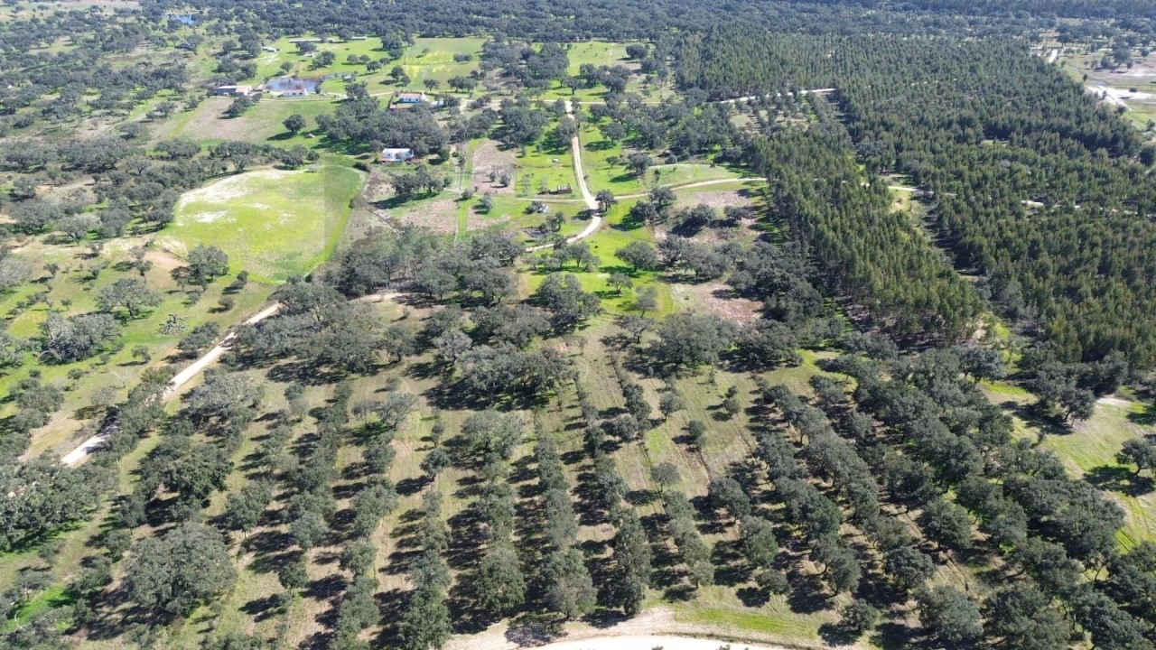Terreno para Venda em São Domingos e Vale de Água Foto 8