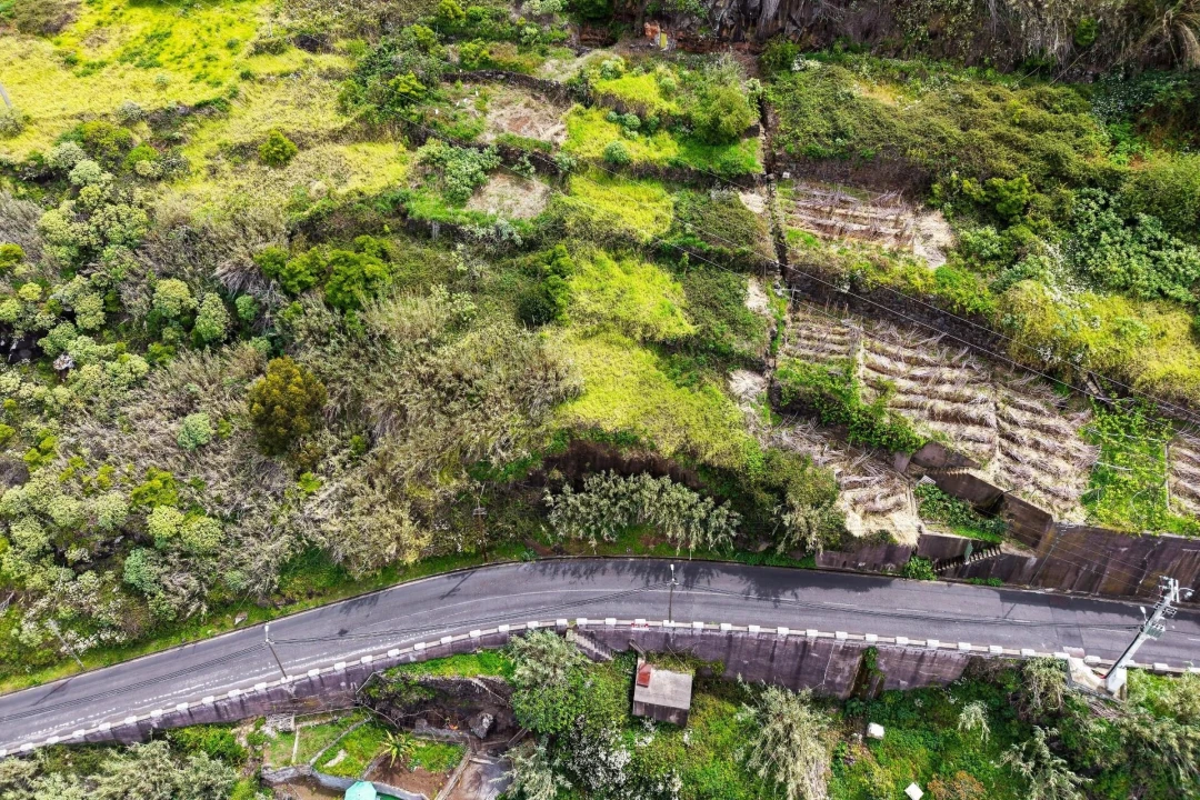 Terreno para Venda em Arco da Calheta Foto 14