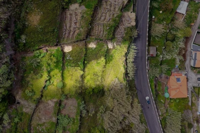 Terreno para Venda em Arco da Calheta