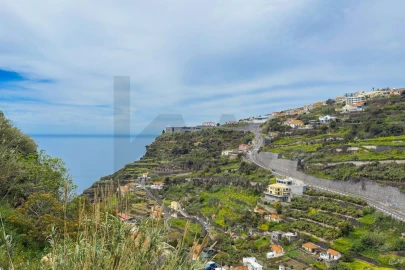 Terreno para Venda em Arco da Calheta