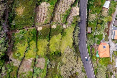 Terreno para Venda em Arco da Calheta