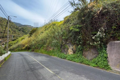 Terreno para Venda em Arco da Calheta