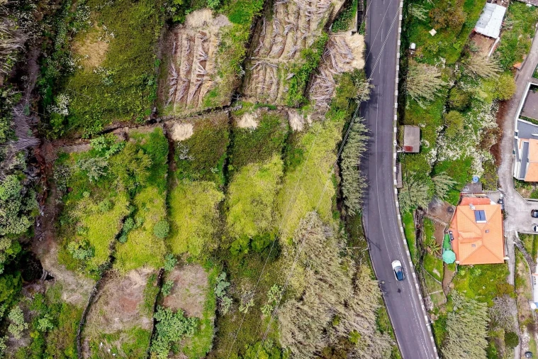 Terreno para Venda em Arco da Calheta Foto 18