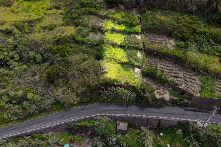 Terreno para Venda em Arco da Calheta Foto 12