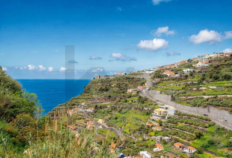 Terreno para Venda em Arco da Calheta Foto 19