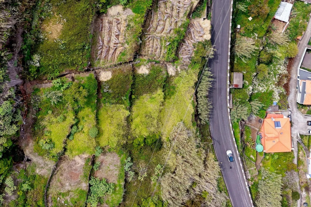 Terreno para Venda em Arco da Calheta Foto 18
