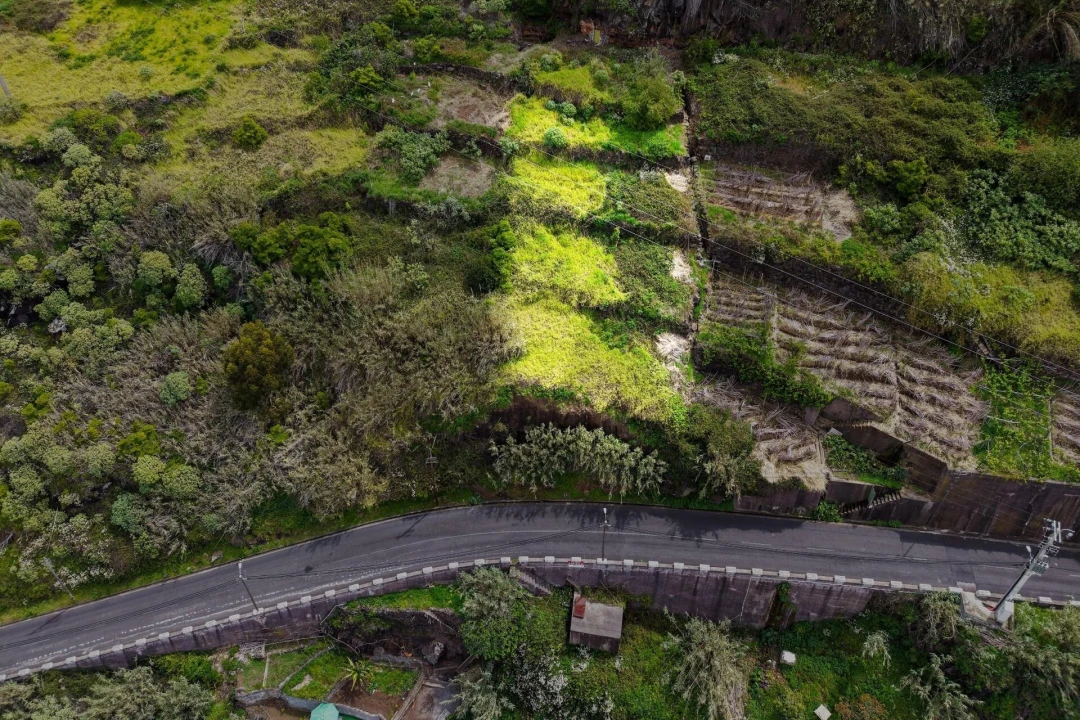Terreno para Venda em Arco da Calheta Foto 12