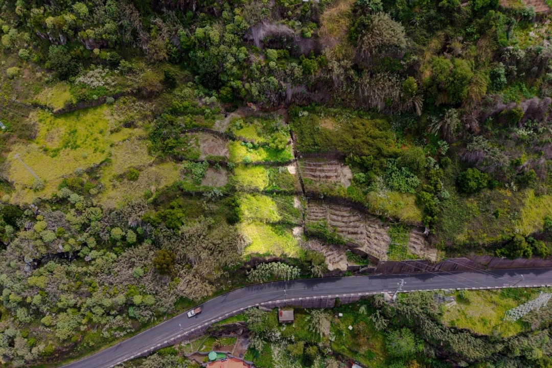 Terreno para Venda em Arco da Calheta Foto 7