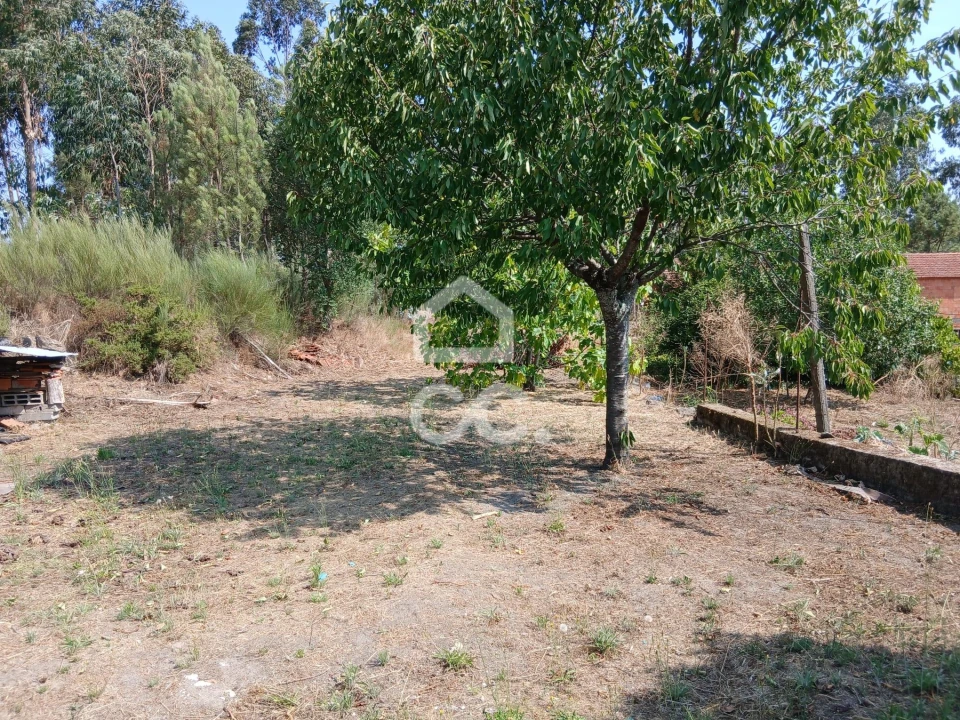 Moradia T3 para Venda em Arcozelo das Maias Foto 27