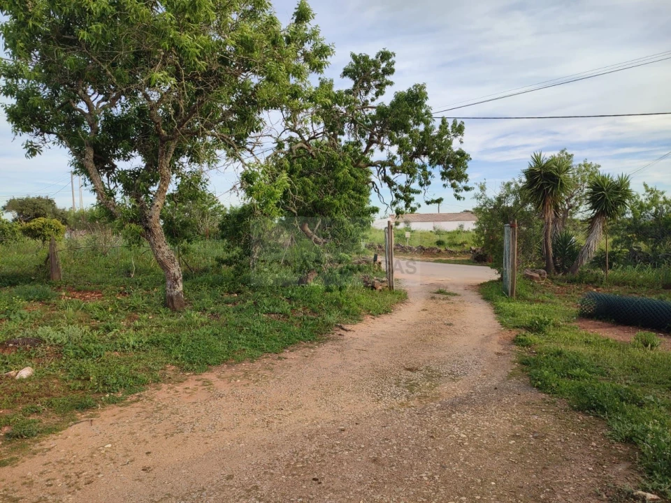 Quinta T4 para Venda em Lagos (São Sebastião e Santa Maria) Foto 4
