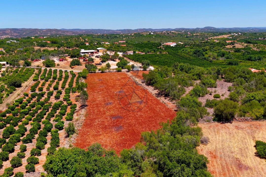 Terreno para Venda em Silves Foto 10