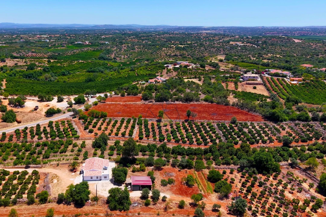 Terreno para Venda em Silves Foto 13