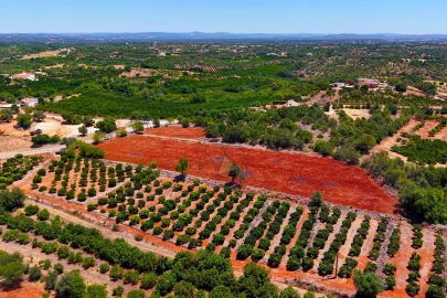 Terreno para Venda em Silves