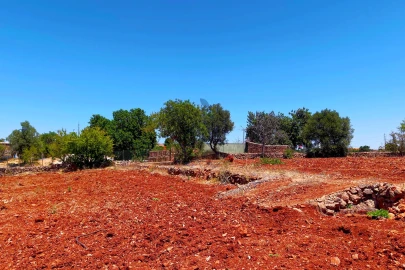 Terreno para Venda em Silves