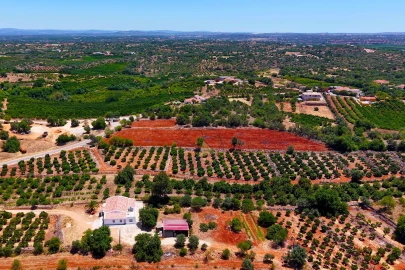 Terreno para Venda em Silves