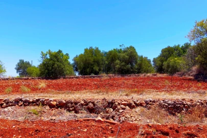 Terreno para Venda em Silves