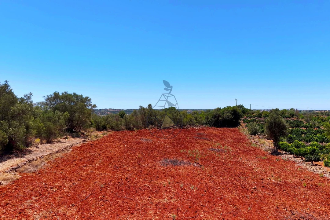 Terreno para Venda em Silves Foto 2