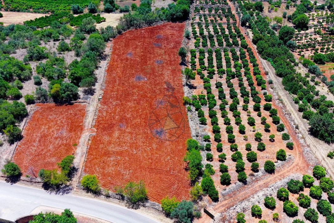 Terreno para Venda em Silves Foto 1