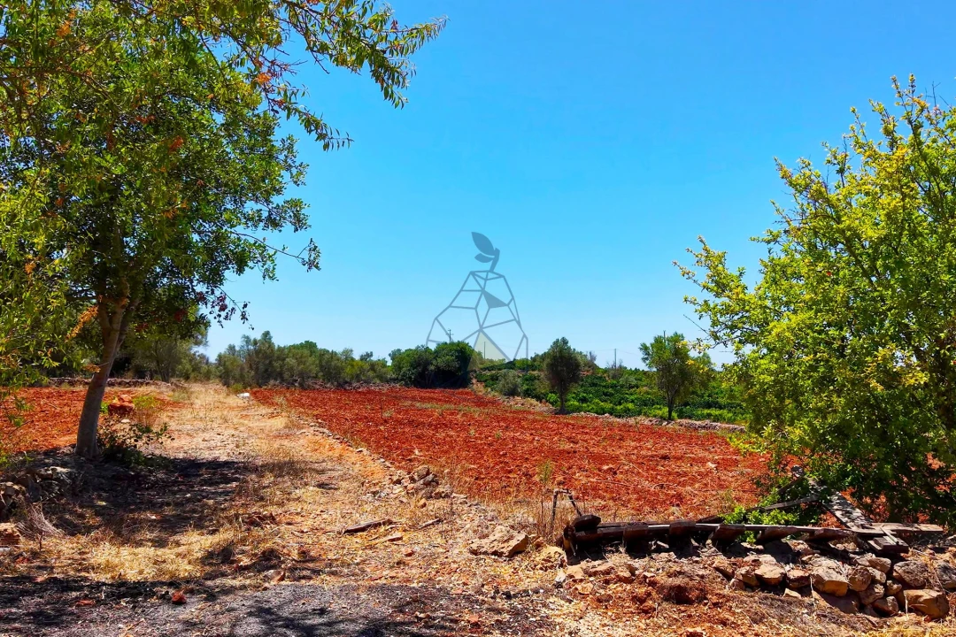Terreno para Venda em Silves Foto 5