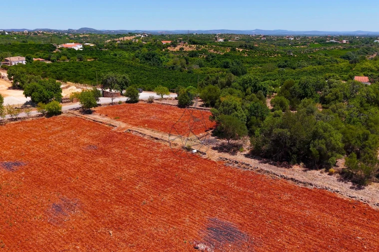 Terreno para Venda em Silves Foto 9