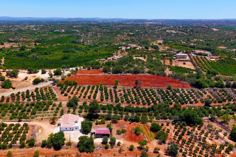 Terreno para Venda em Silves Foto 13