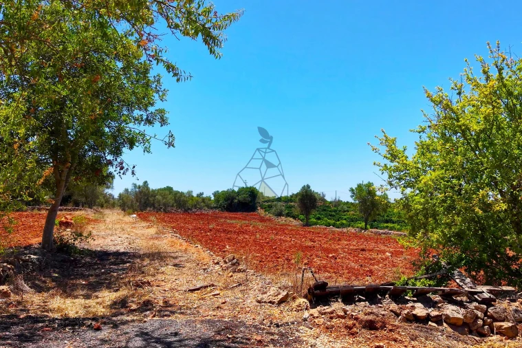 Terreno para Venda em Silves Foto 5