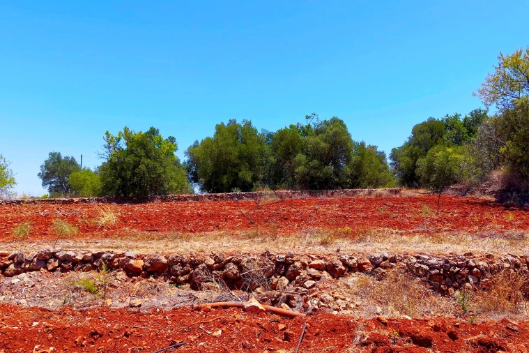 Terreno para Venda em Silves Foto 7