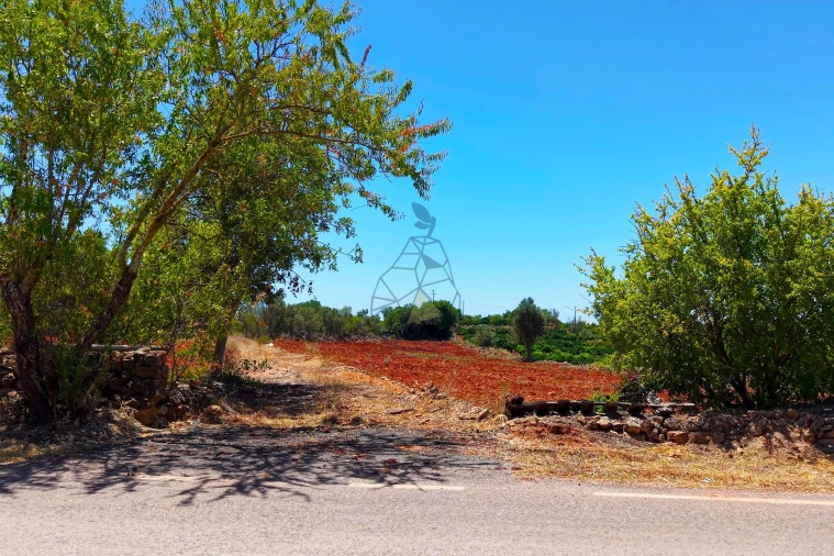 Terreno para Venda em Silves Foto 4