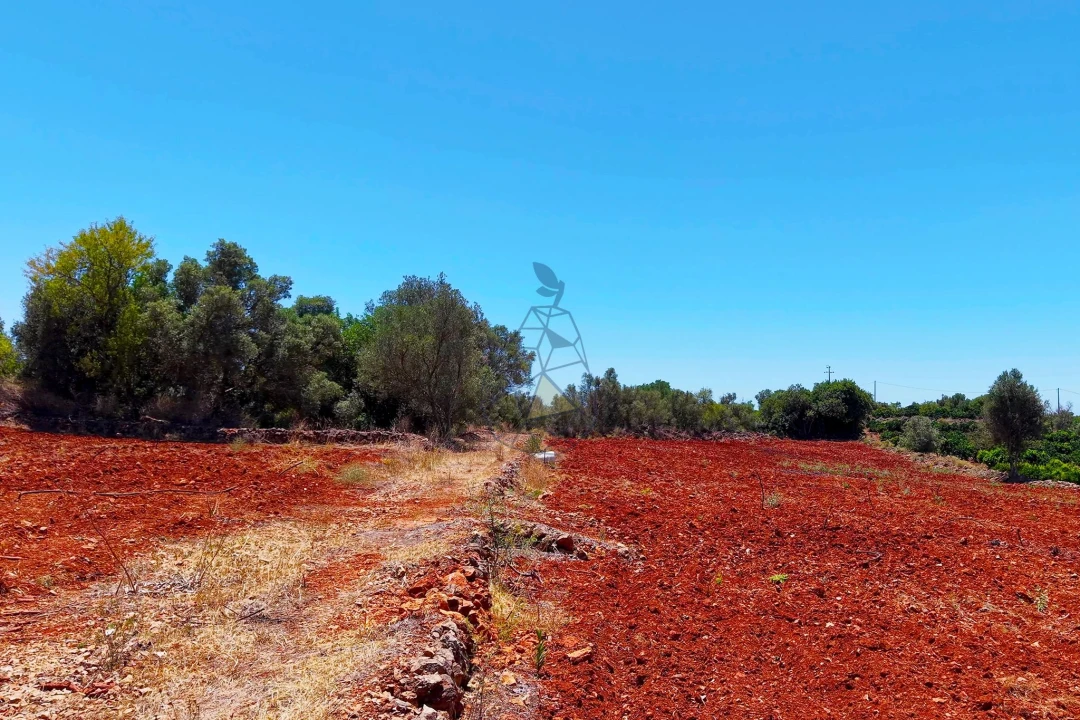 Terreno para Venda em Silves Foto 6