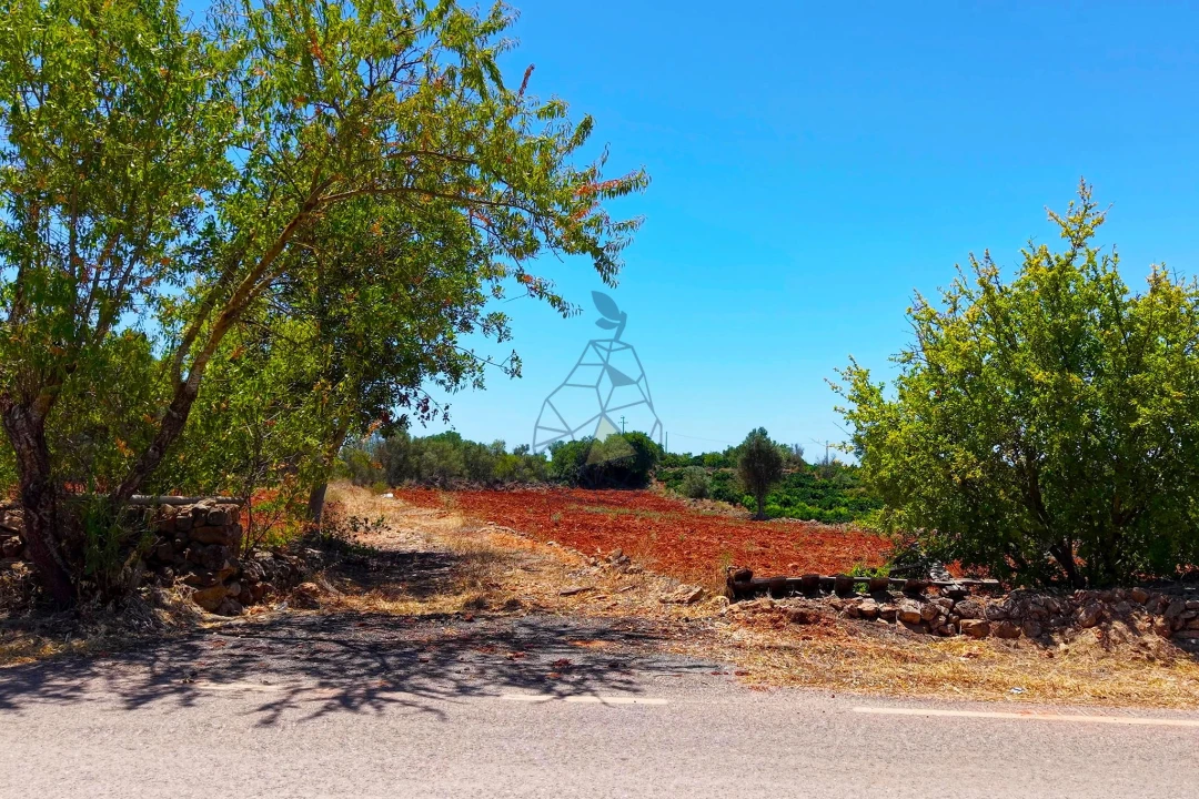 Terreno para Venda em Silves Foto 4
