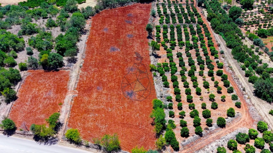 Terreno para Venda em Silves