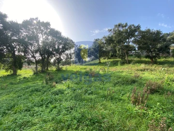 Moradia T3 para Venda em Salir de Matos