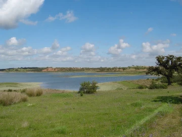 Terreno para Venda em Ourique