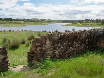 Terreno para Venda em Ourique