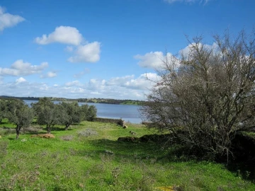 Terreno para Venda em Ourique