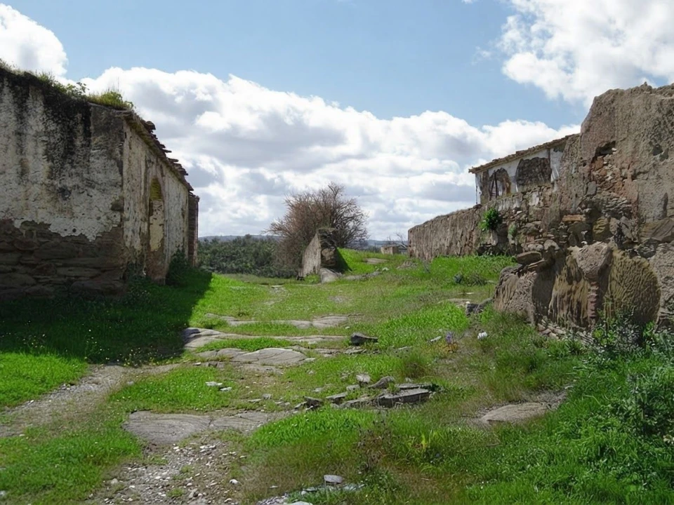 Terreno para Venda em Ourique Foto 7