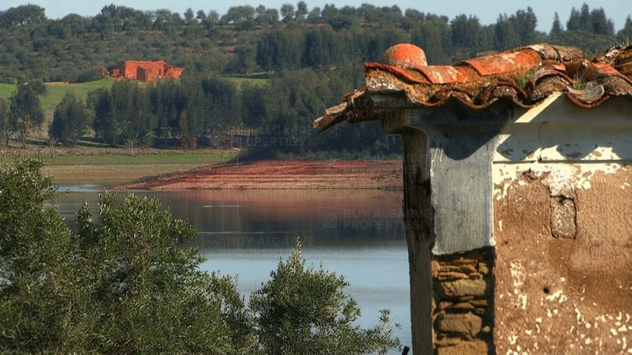 Terreno para Venda em Ourique Foto 3