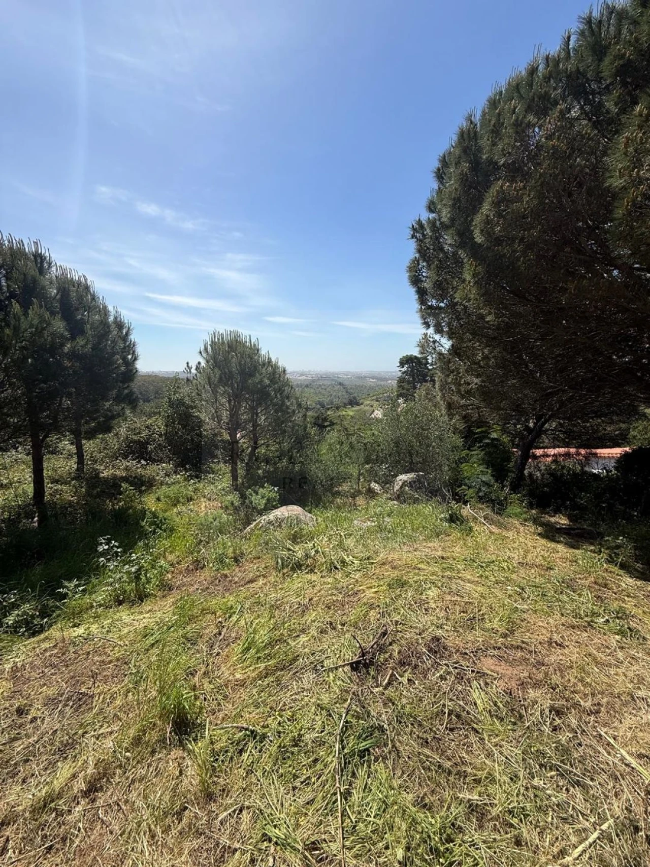 Terreno para Venda em Alcabideche Foto 2
