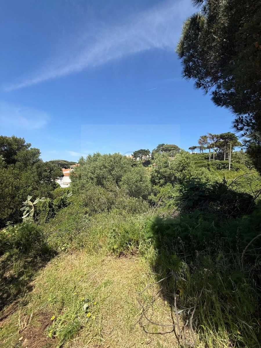 Terreno para Venda em Alcabideche Foto 3