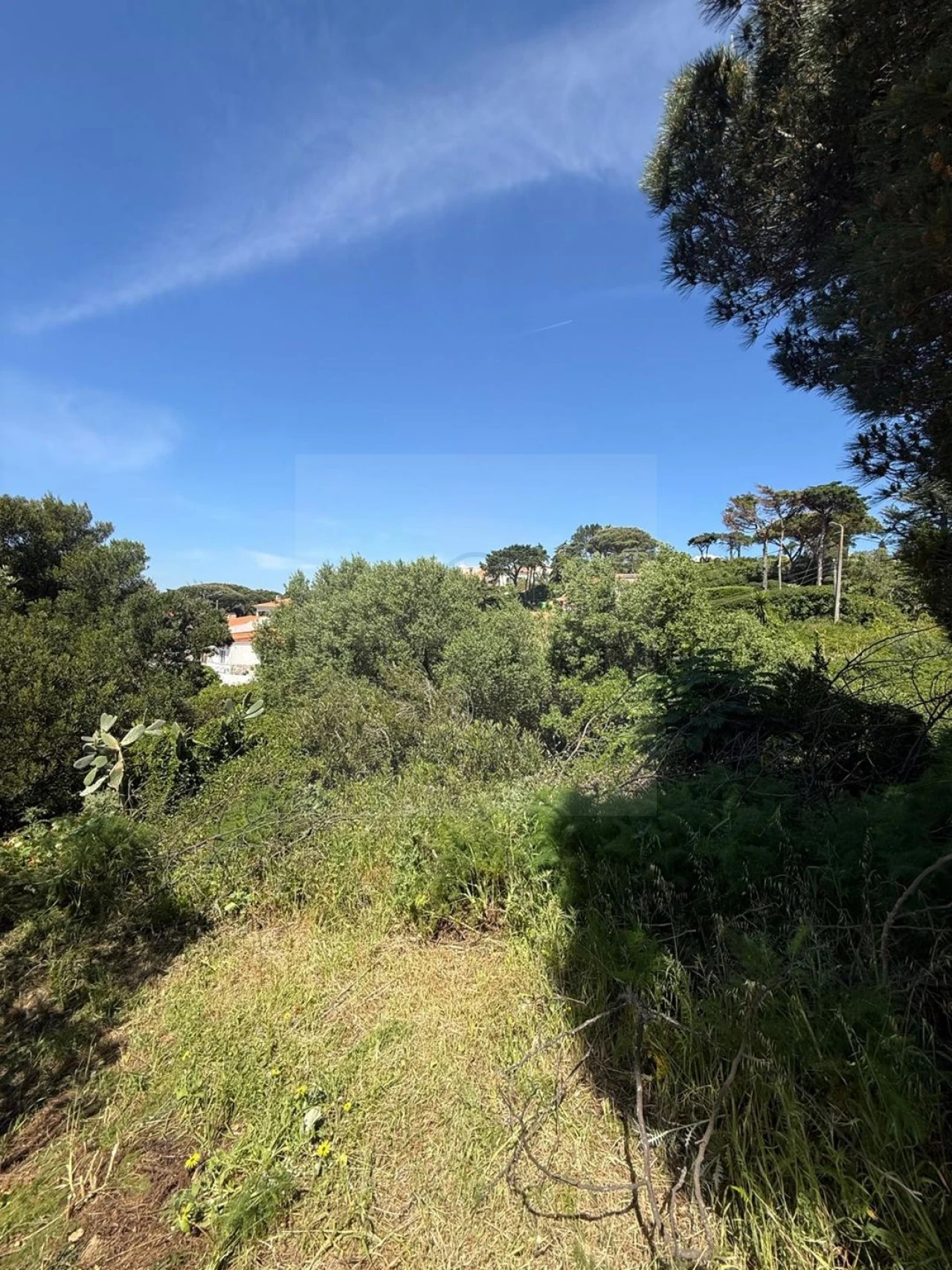 Terreno para Venda em Alcabideche Foto 3