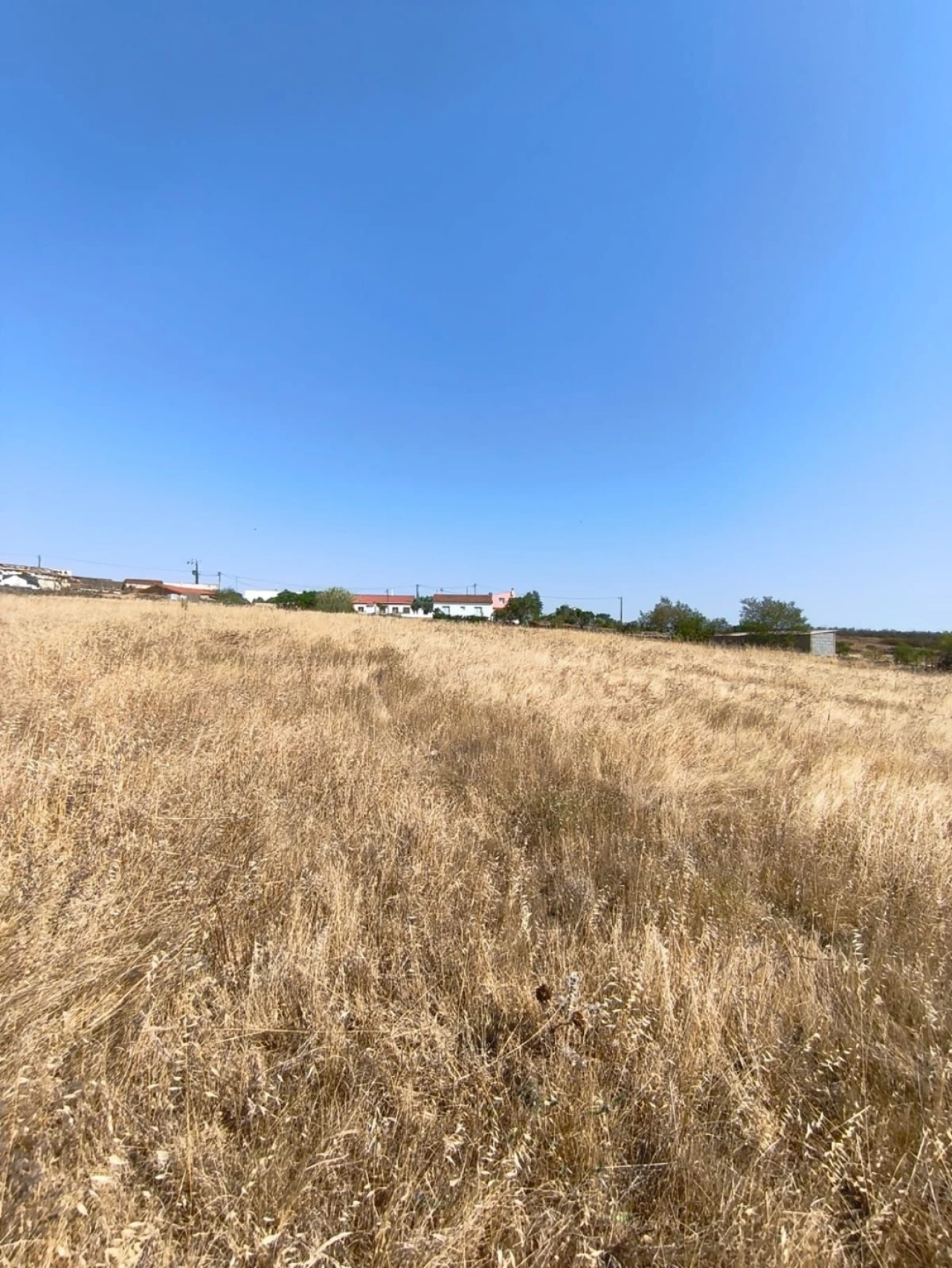 Terreno Agricola ou Rústico para Venda em Alcoutim e Pereiro Foto 4