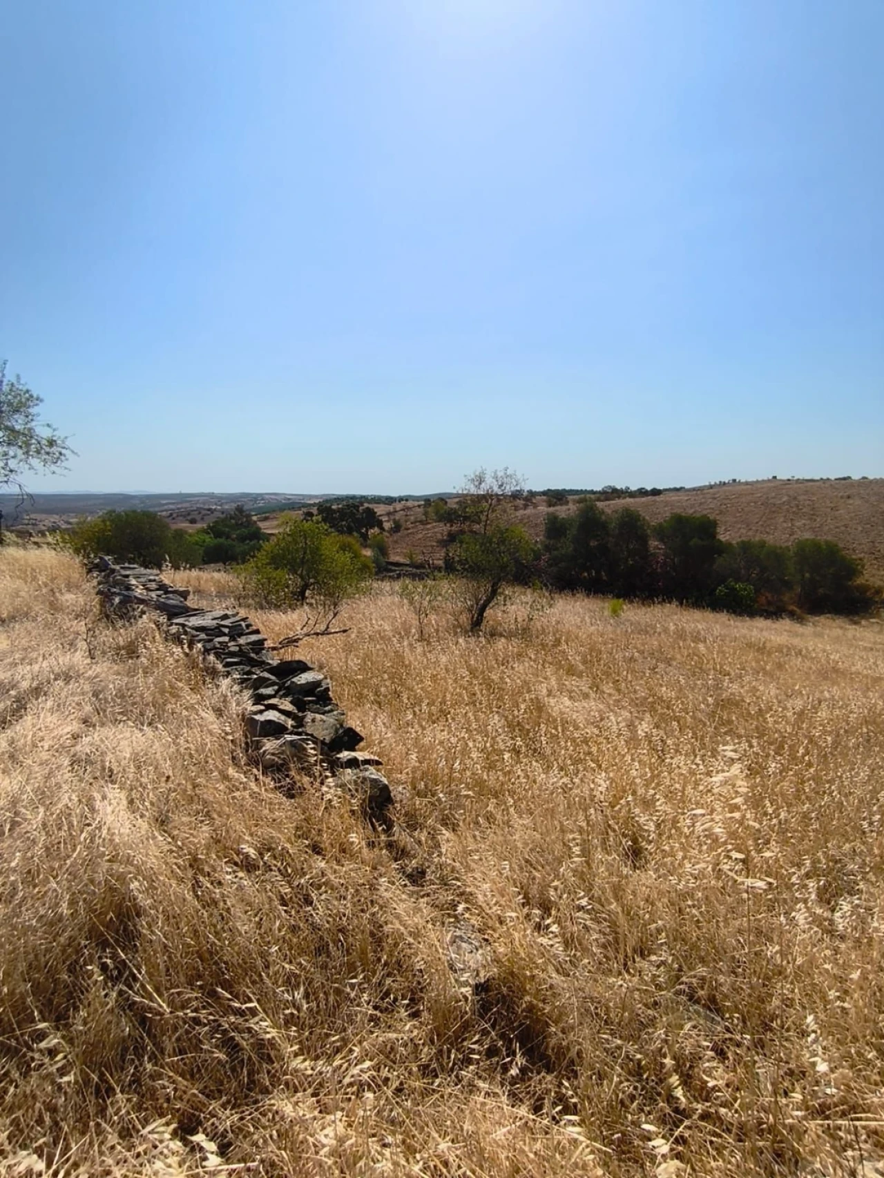 Terreno Agricola ou Rústico para Venda em Alcoutim e Pereiro Foto 7